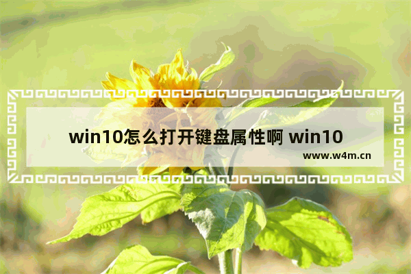 win10怎么打开键盘属性啊 win10怎么打开键盘属性啊苹果