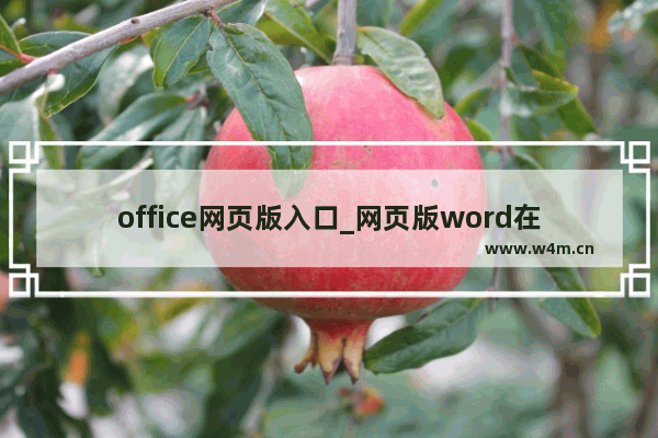 office网页版入口_网页版word在线编辑