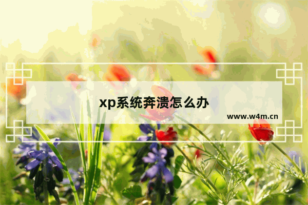 xp系统奔溃怎么办