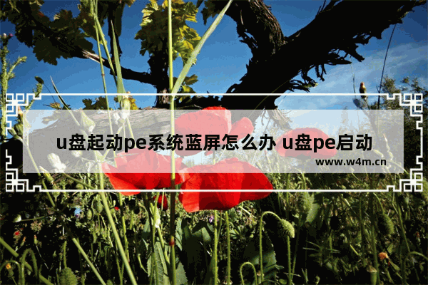 u盘起动pe系统蓝屏怎么办 u盘pe启动蓝屏