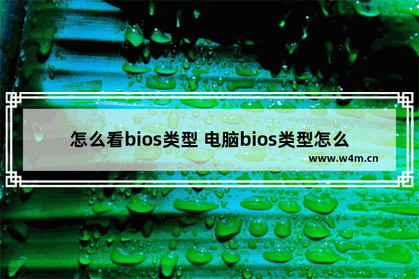 怎么看bios类型 电脑bios类型怎么看