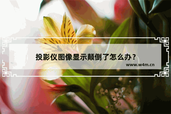 投影仪图像显示颠倒了怎么办？