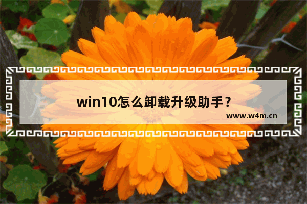 win10怎么卸载升级助手？