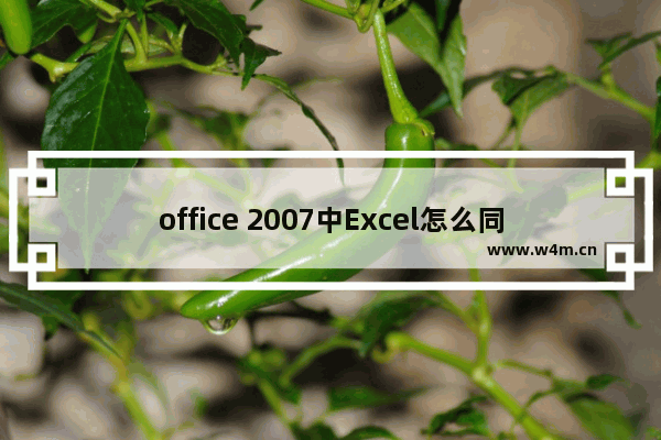 office 2007中Excel怎么同时显示两个窗口