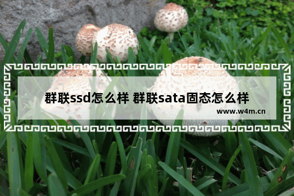 群联ssd怎么样 群联sata固态怎么样