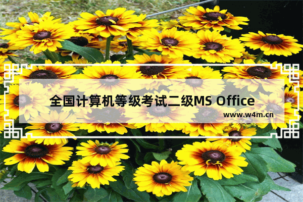 全国计算机等级考试二级MS Office知识点排查PowerPoint部分