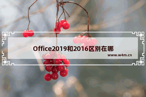 Office2019和2016区别在哪