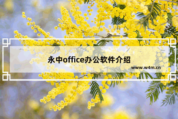 永中office办公软件介绍