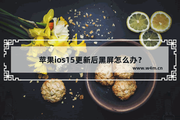 苹果ios15更新后黑屏怎么办？