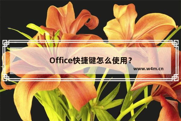 Office快捷键怎么使用？