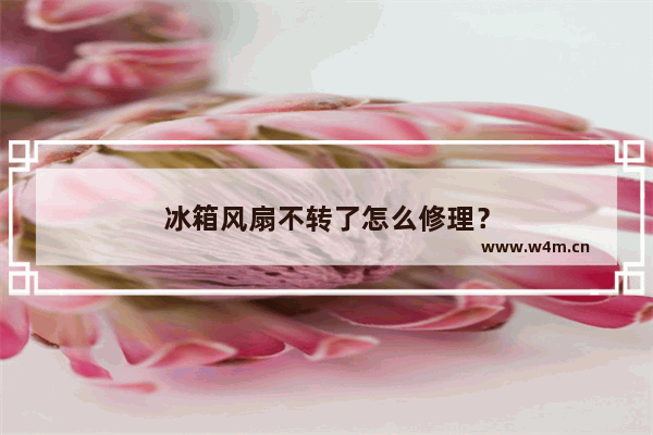 冰箱风扇不转了怎么修理？