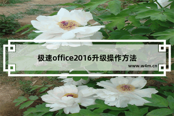 极速office2016升级操作方法