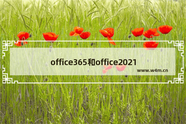 office365和office2021有何区别详细介绍