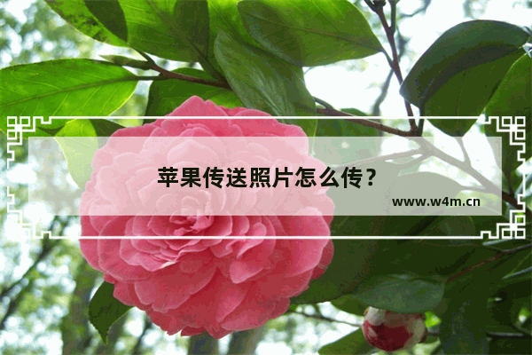 苹果传送照片怎么传？