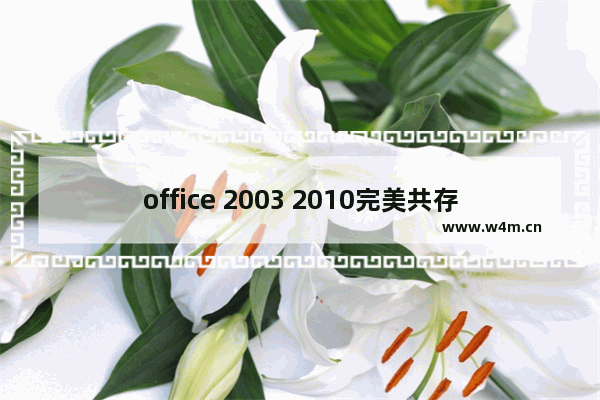 office 2003 2010完美共存的解决方案