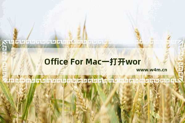 Office For Mac一打开word就崩溃, mac里word崩溃如何恢复文档 ?