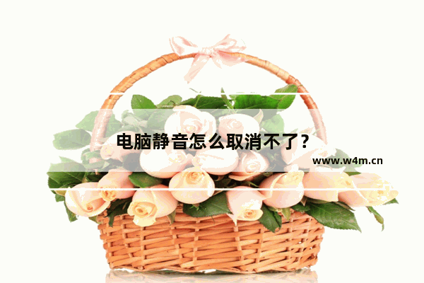 电脑静音怎么取消不了？