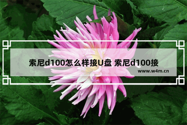 索尼d100怎么样接U盘 索尼d100接手机