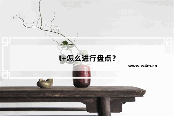 t+怎么进行盘点？