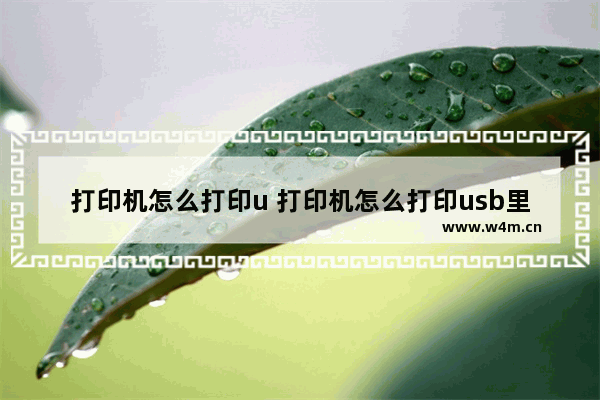 打印机怎么打印u 打印机怎么打印usb里的文件