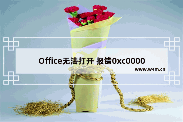 Office无法打开 报错0xc0000142解决方法