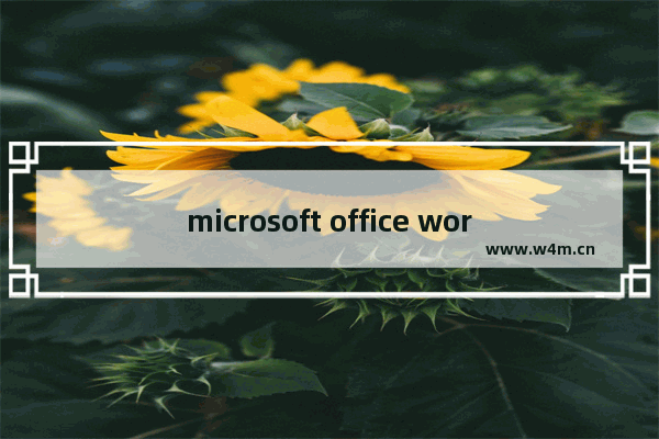 microsoft office word停止工作的解决方案 Word停止工作解决方法