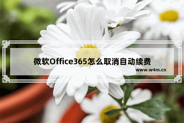 微软Office365怎么取消自动续费