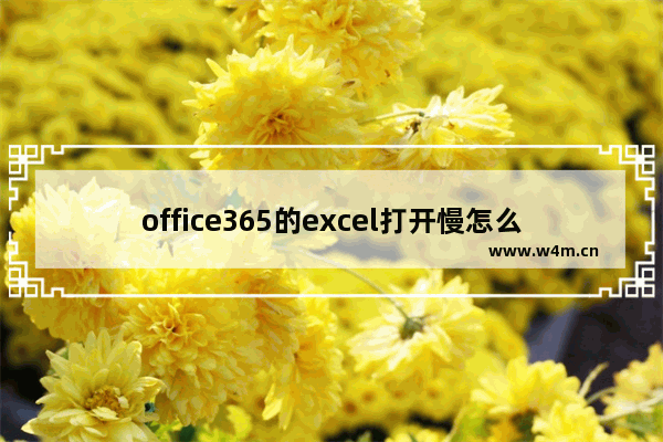 office365的excel打开慢怎么办？office365的excel运行很卡的解决方法