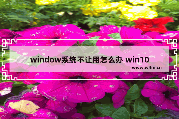 window系统不让用怎么办 win10不让用了