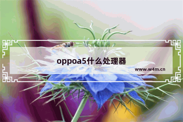 oppoa5什么处理器