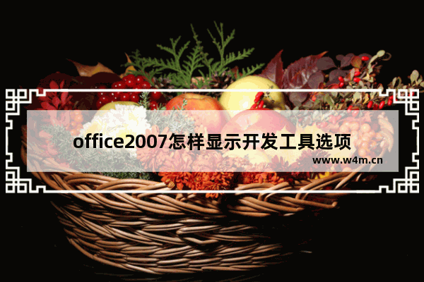 office2007怎样显示开发工具选项卡-office2007显示开发工具选项卡的方法