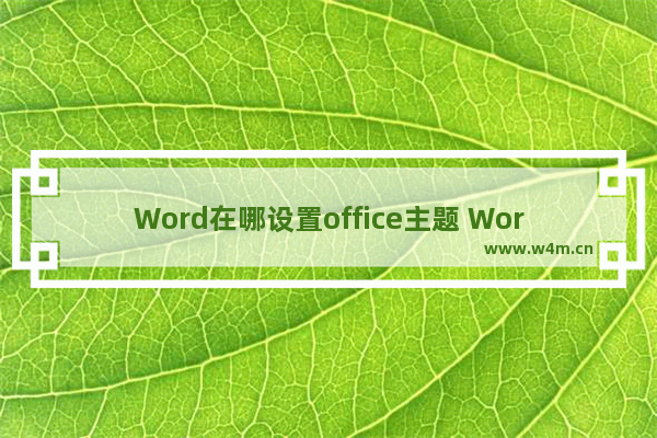 Word在哪设置office主题 Word黑色主题设置的方法