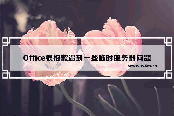 Office很抱歉遇到一些临时服务器问题怎么解决?