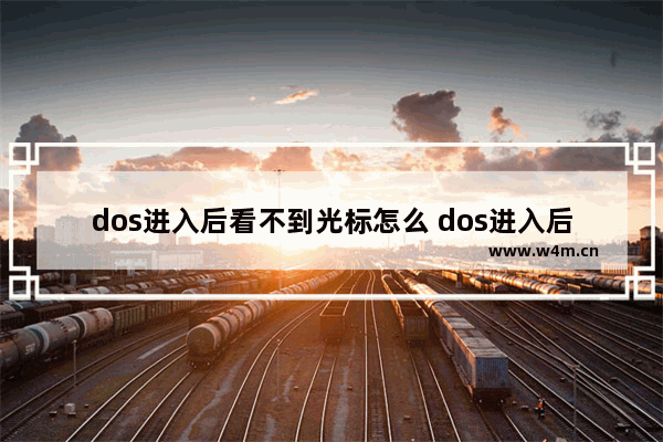 dos进入后看不到光标怎么 dos进入后看不到光标怎么解决