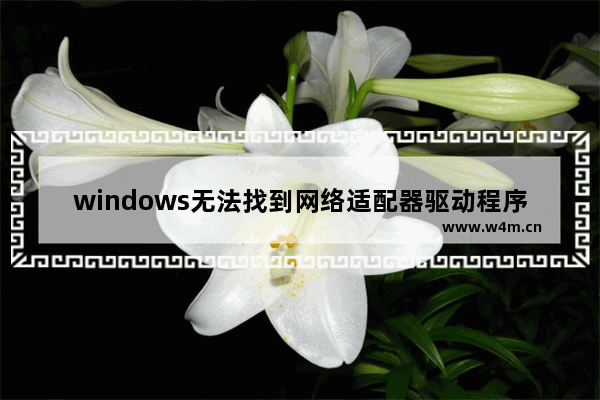 windows无法找到网络适配器驱动程序