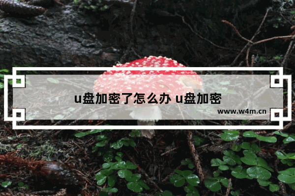 u盘加密了怎么办 u盘加密