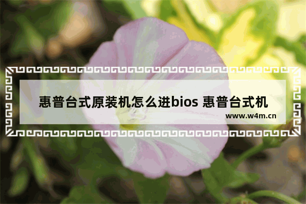 惠普台式原装机怎么进bios 惠普台式机怎么进入bios设置硬盘启动