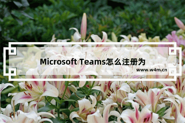 Microsoft Teams怎么注册为Offices聊天应用?Microsoft Teams注册为Offices聊天应用教程