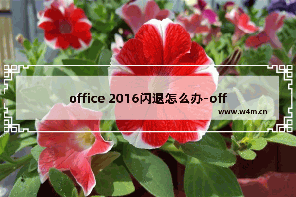 office 2016闪退怎么办-office 2016打开后闪退的解决办法