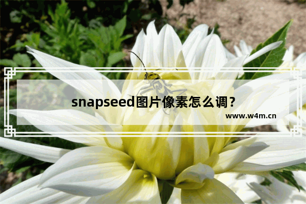 snapseed图片像素怎么调？