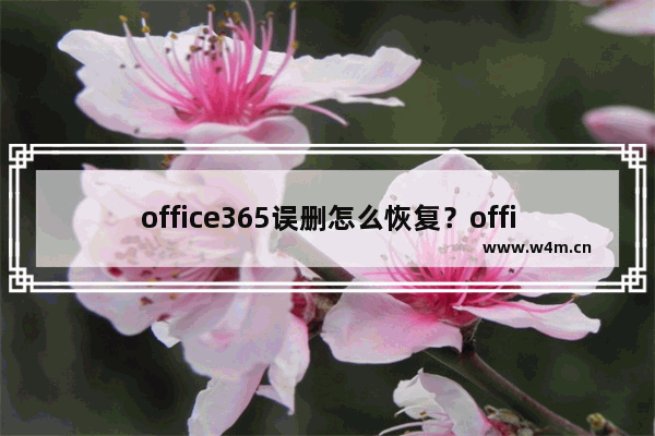 office365误删怎么恢复？office365恢复教程