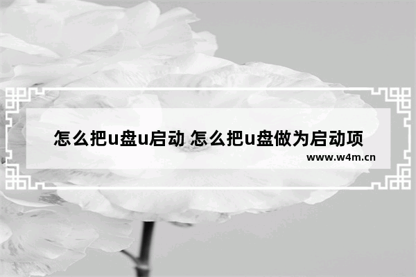 怎么把u盘u启动 怎么把u盘做为启动项