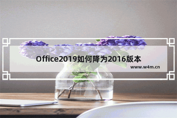 Office2019如何降为2016版本？附操作教学