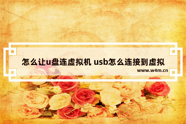 怎么让u盘连虚拟机 usb怎么连接到虚拟机