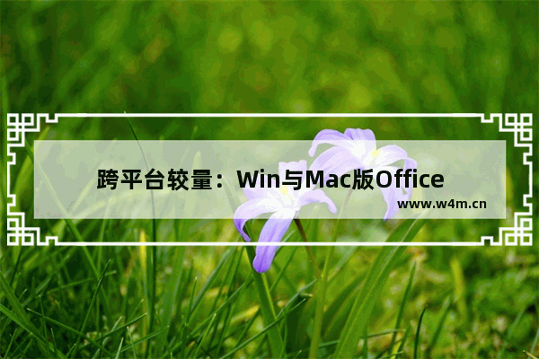 跨平台较量：Win与Mac版Office对比