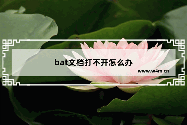 bat文档打不开怎么办