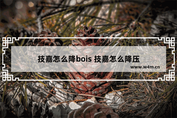 技嘉怎么降bois 技嘉怎么降压