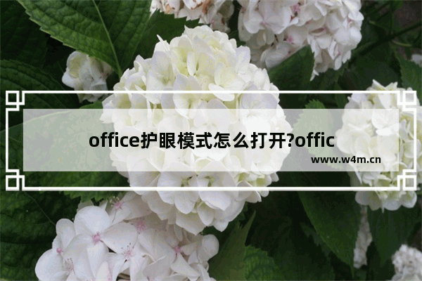 office护眼模式怎么打开?office开启护眼模式方法