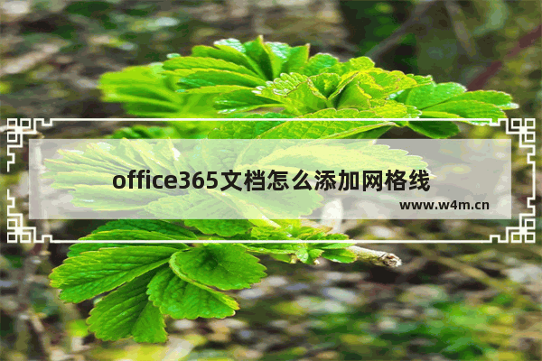 office365文档怎么添加网格线