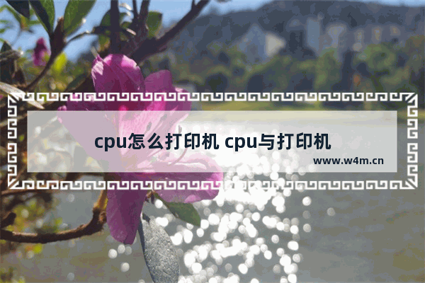 cpu怎么打印机 cpu与打印机